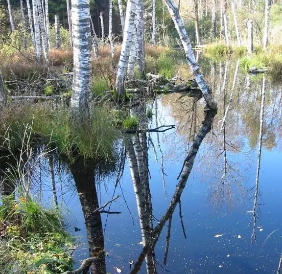 Majatalo Zentrum Für Umwelt Und Kultur   Gästehaus Und Jugendbildungseinrichtung Im Maierhof