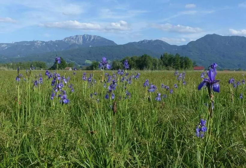 Majatalo Zentrum Für Umwelt Und Kultur   Gästehaus Und Jugendbildungseinrichtung Im Maierhof