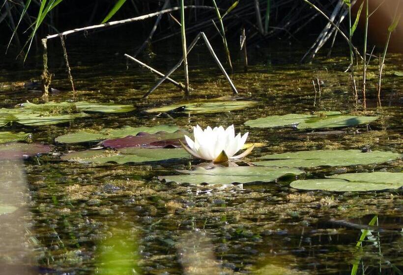 פנסיון Zentrum Für Umwelt Und Kultur Gästehaus Und Jugendbildungseinrichtung Im Maierhof