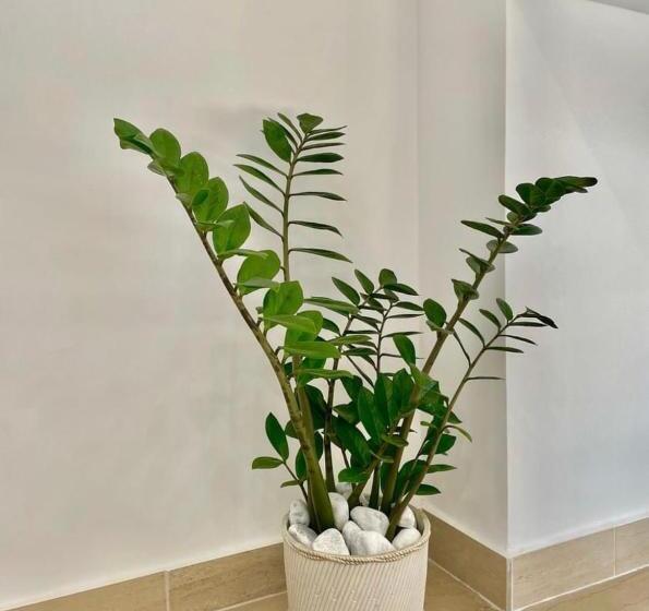 צימר Greco Rooms