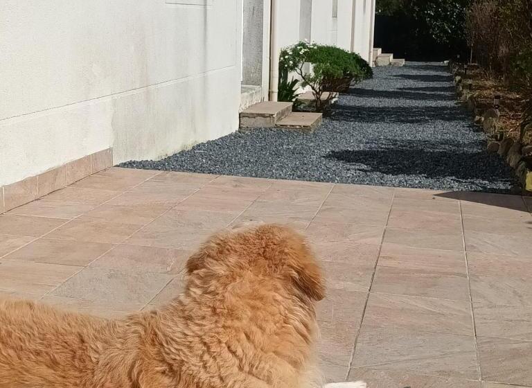 مبيت وإفطار La Maison Des Poulains