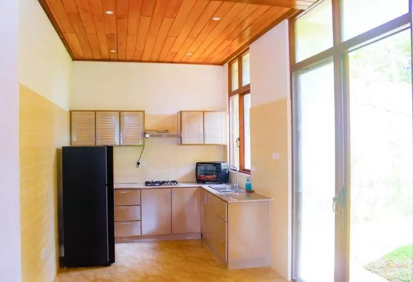 Aamiaismajoitus (B&B) Camellia Rise