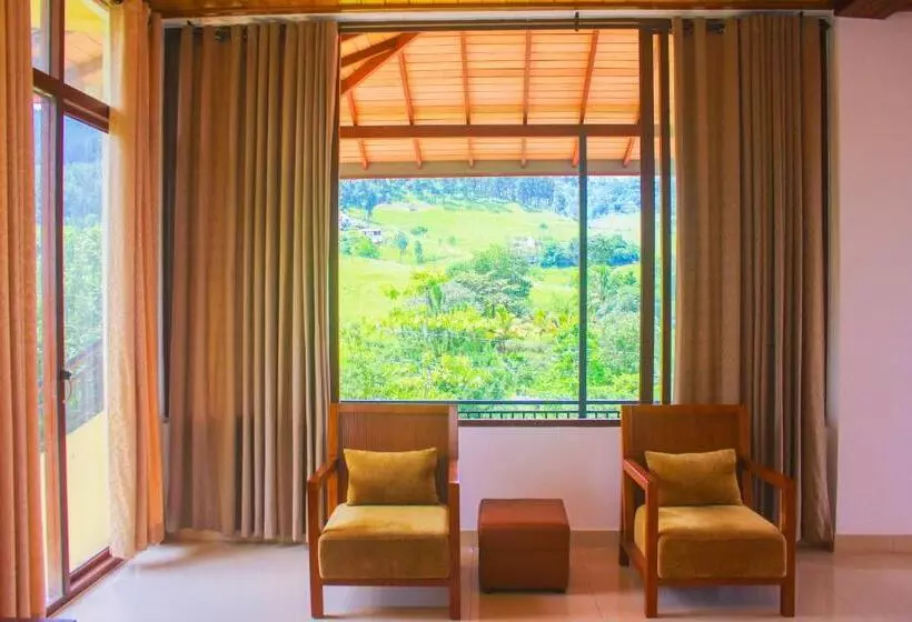 Aamiaismajoitus (B&B) Camellia Rise