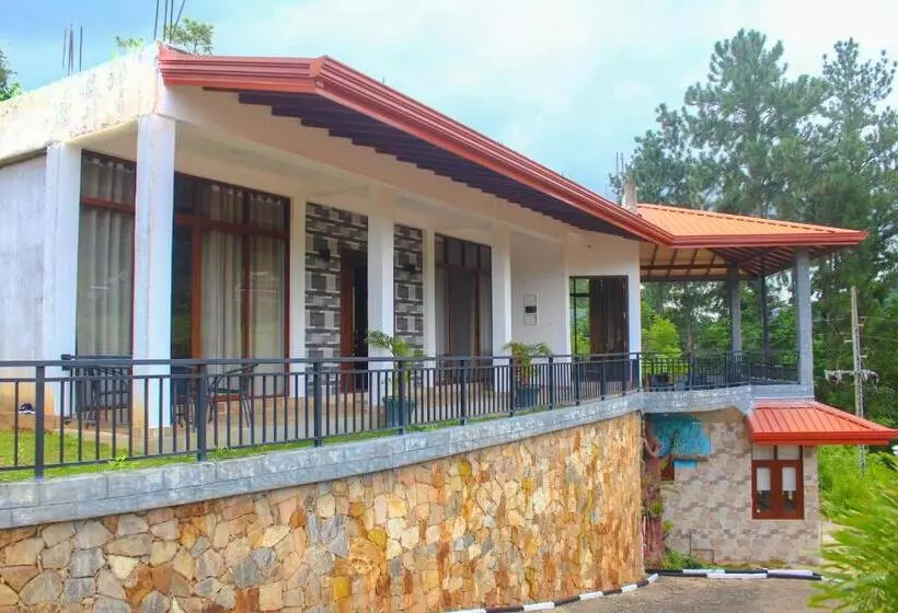 Aamiaismajoitus (B&B) Camellia Rise