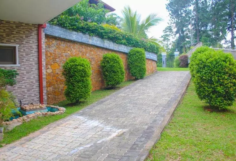 Aamiaismajoitus (B&B) Camellia Rise