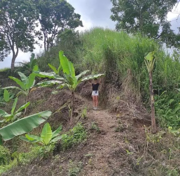 ベッドアンドブレックファースト Goa Walet Cottage