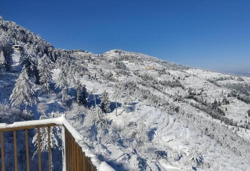 Hotel The Exotic Retreat I Vacations I Conference I Mice I Family Events I Kufri By Exotic Stays