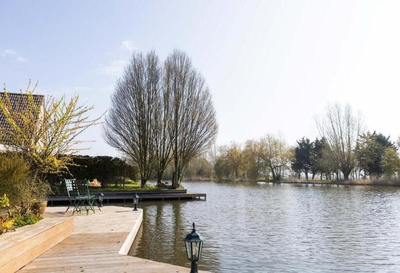 Vegan B&b De Groene Mus