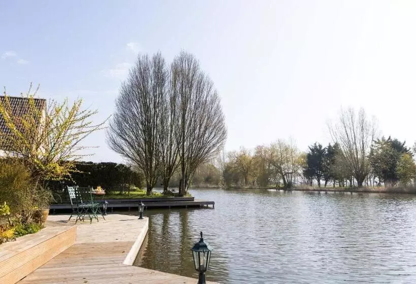 Vegan B&b De Groene Mus