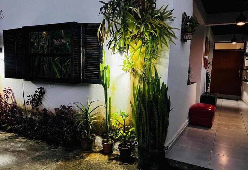 ペンション Deivão Host