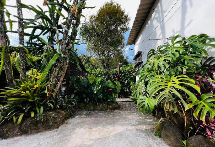 ペンション Deivão Host