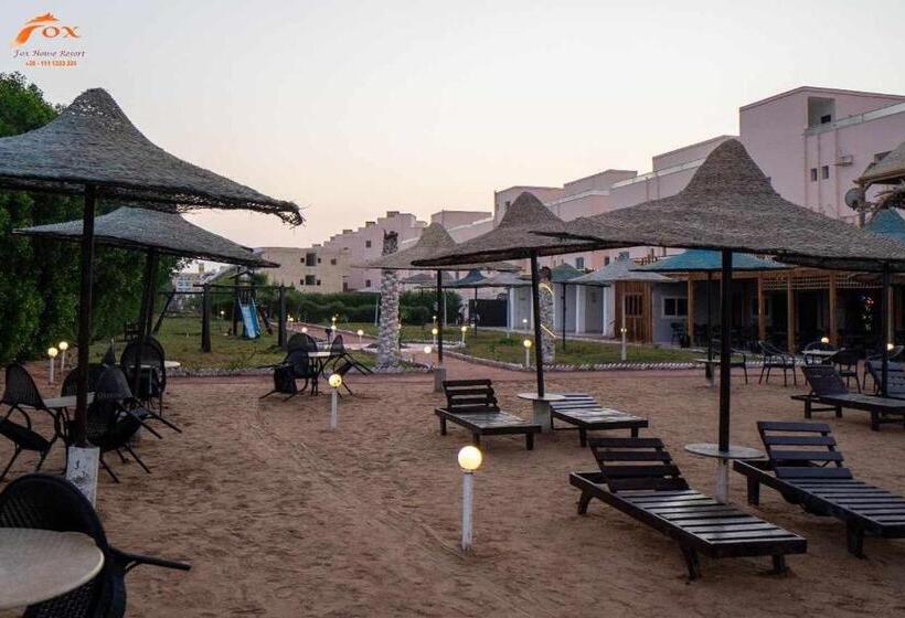 تختخواب و صبحانه Fox Beach Stay