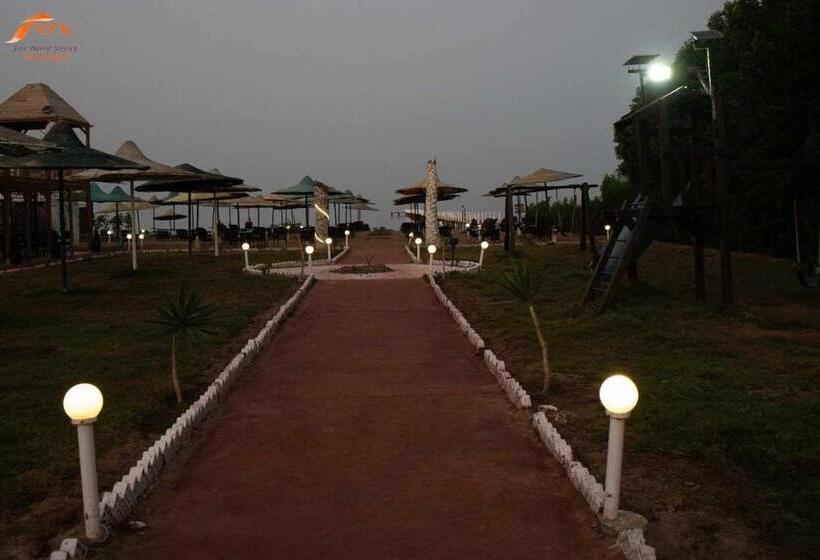 تختخواب و صبحانه Fox Beach Stay