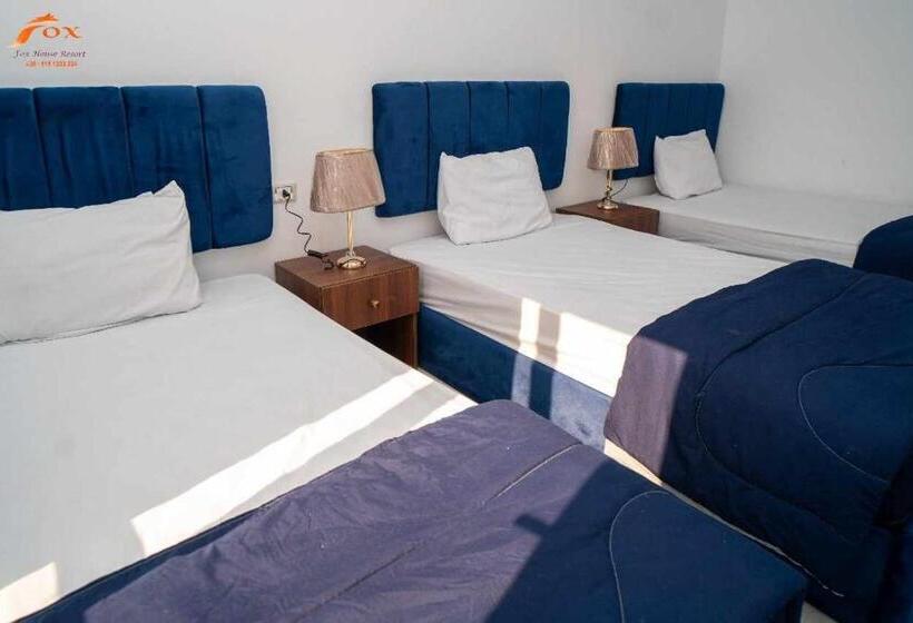 تختخواب و صبحانه Fox Beach Stay