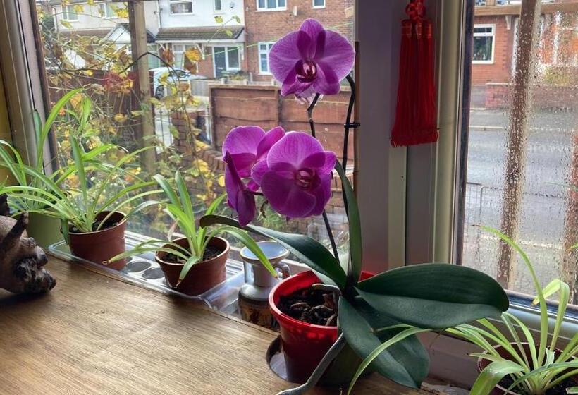 צימר Jacks Court B3