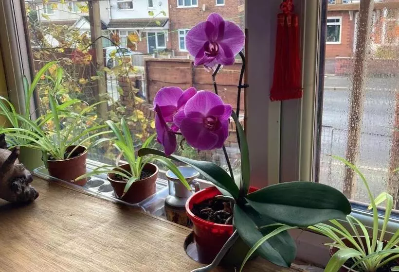 Aamiaismajoitus (B&B) Jacks Court B3