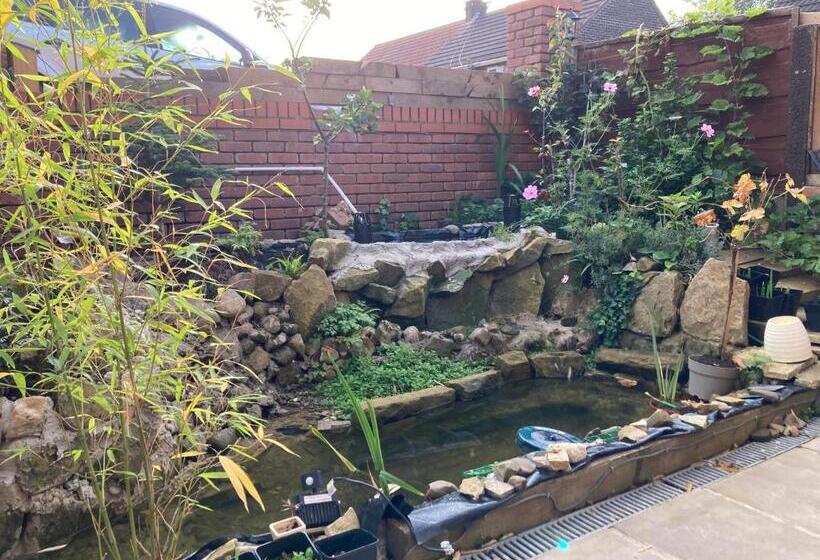 צימר Jacks Court B3