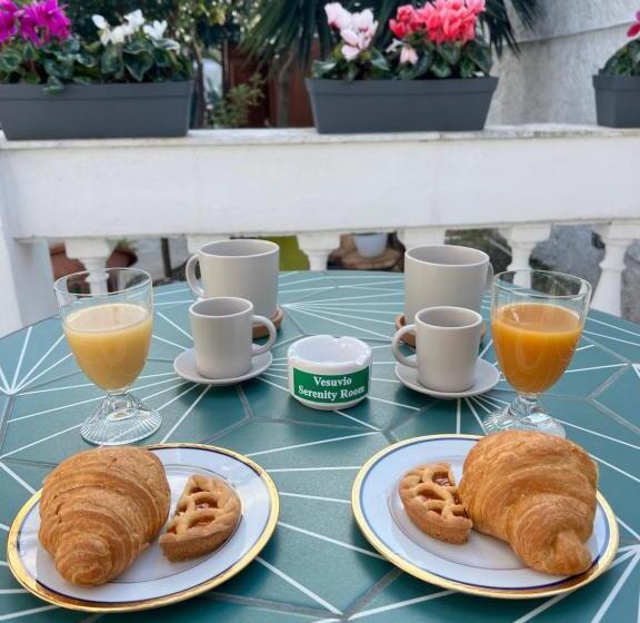 住宿加早餐  Vesuvioserenityroom