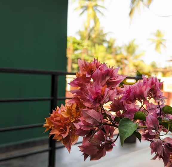 فندق Seaside Serenity Resort