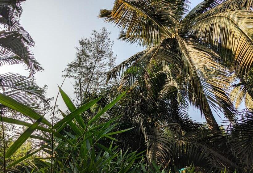 فندق Seaside Serenity Resort