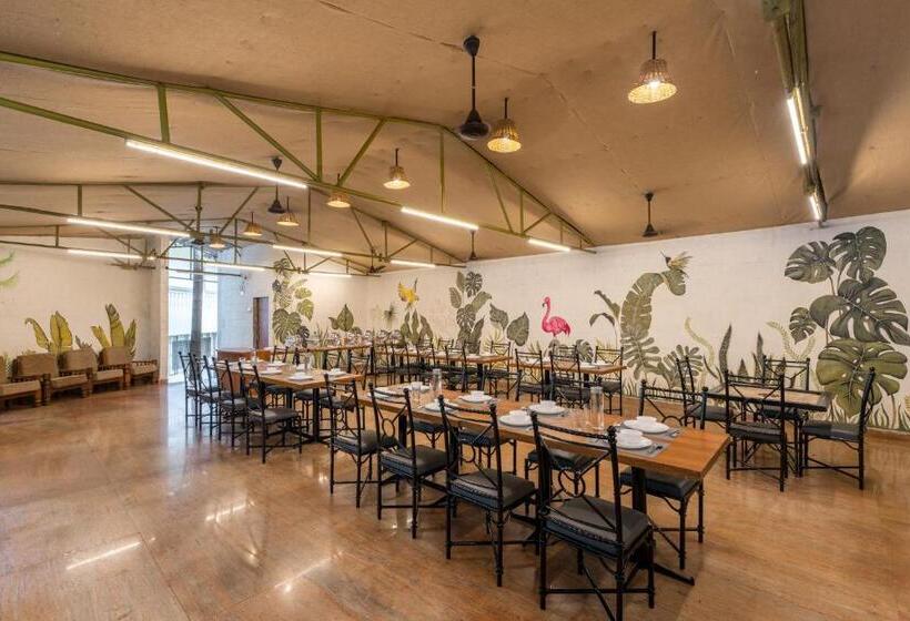 Otel Sol By Souzagad