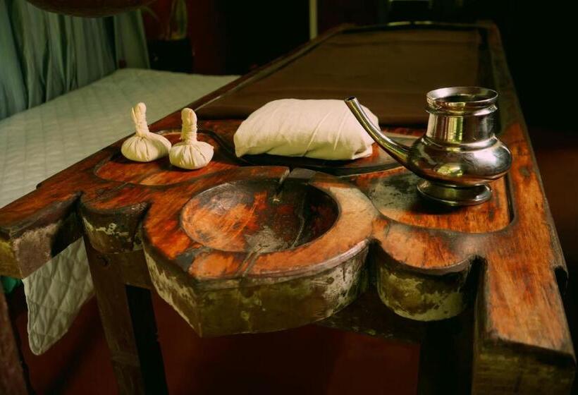 פנסיון Ayurcare Ayurveda Irinjalakuda