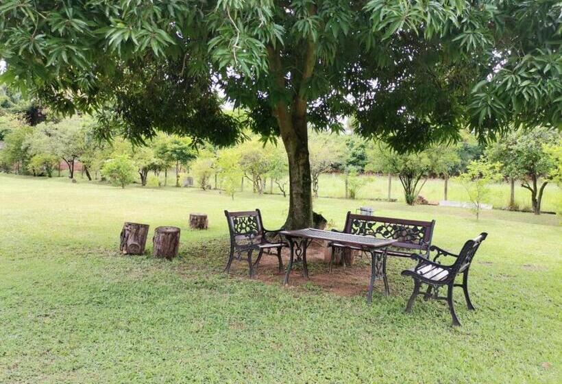 پانسیون Quinta Los Lapachos De Ypané