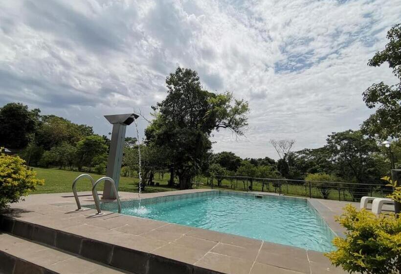 پانسیون Quinta Los Lapachos De Ypané