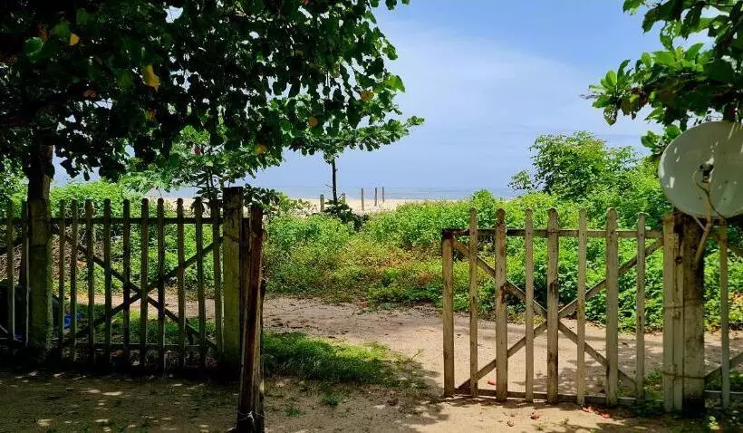 ペンション The Frangipani Marari Beach