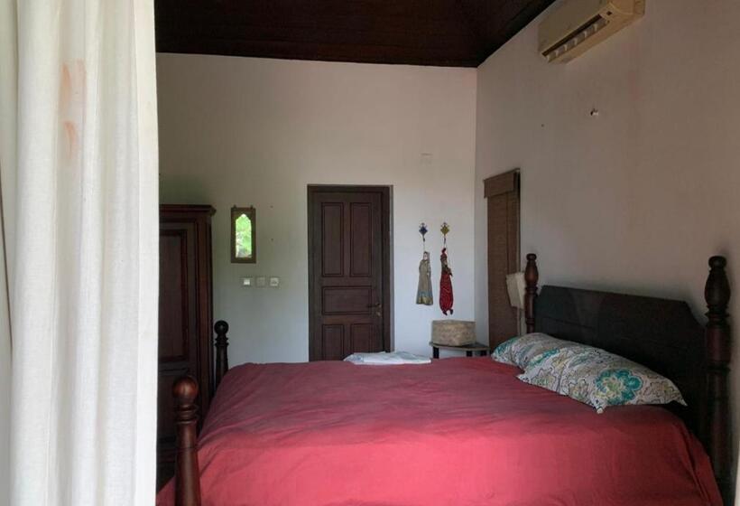 פנסיון The Frangipani Marari Beach