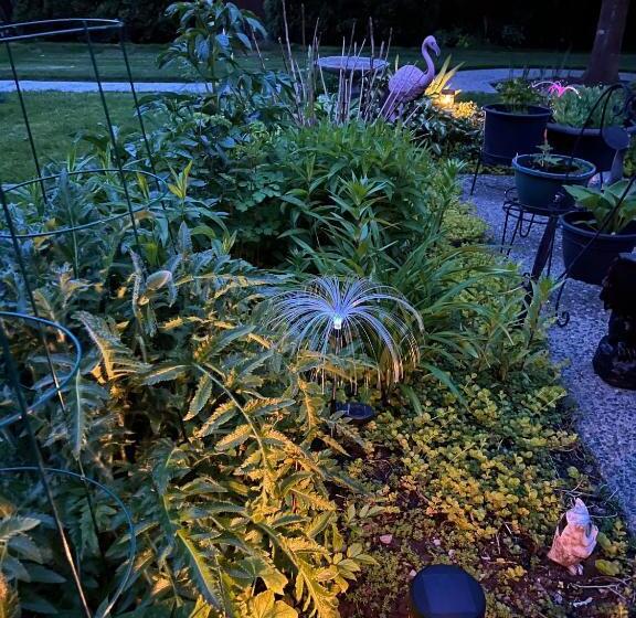 膳宿费 Whitewater Cottage