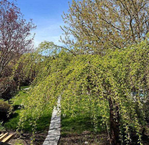 膳宿费 Whitewater Cottage