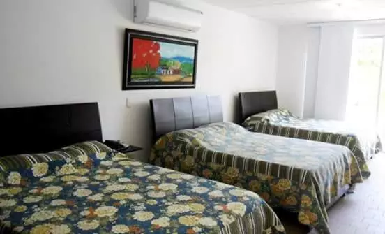 Restaurante   Hotel Los Manguitos