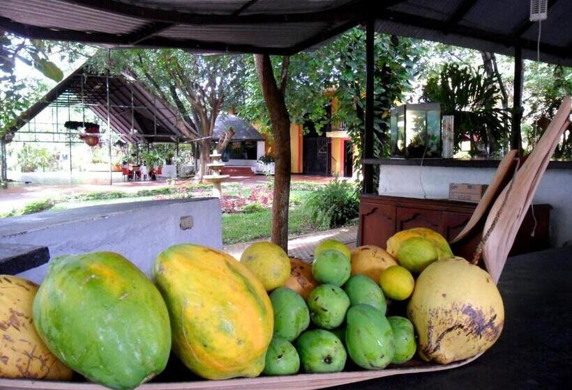 Restaurante Hotel Los Manguitos