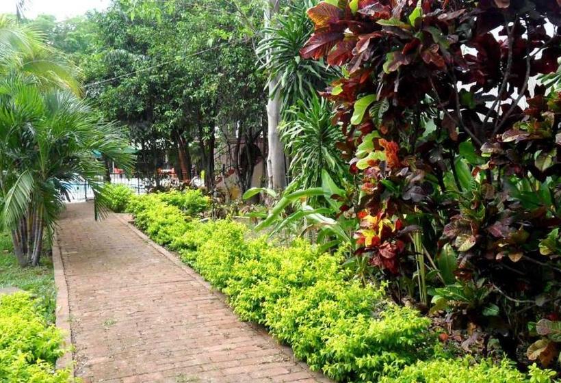 Restaurante Hotel Los Manguitos