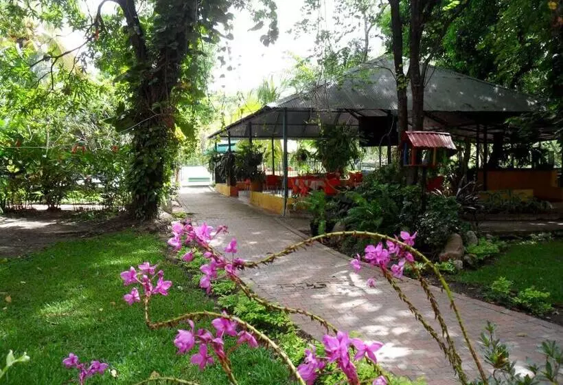 Restaurante   Hotel Los Manguitos