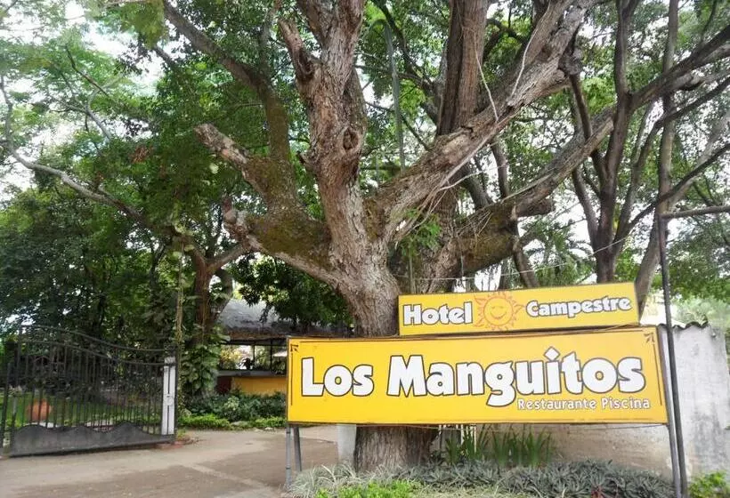 Restaurante   Hotel Los Manguitos