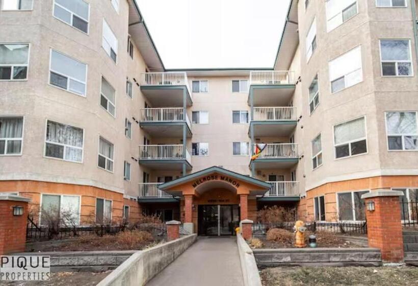 The Neon Palace   Kingbed   Fireplace   Netflix   Ug Park