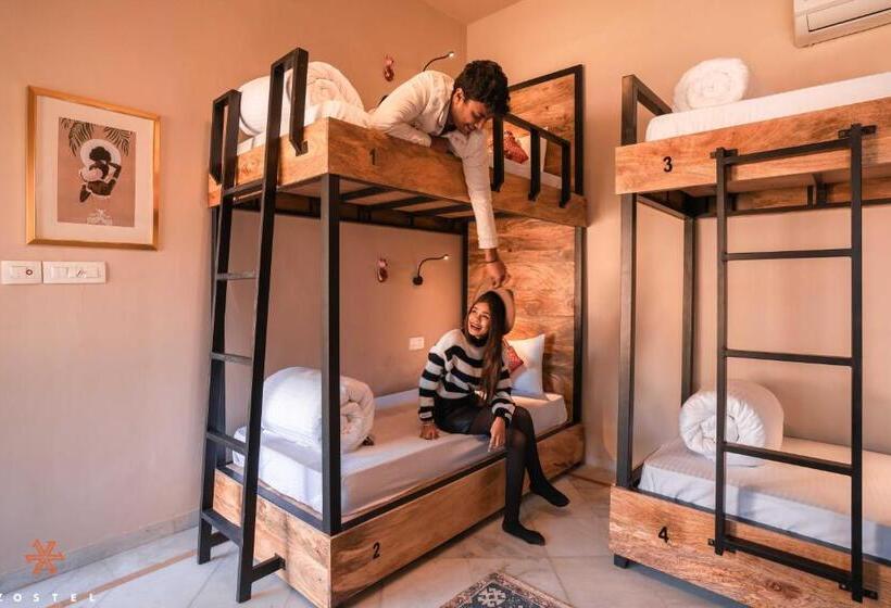 Albergue Zostel Jodhpur