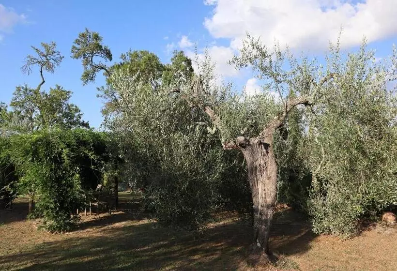 تختخواب و صبحانه Abbadia Wine Relais