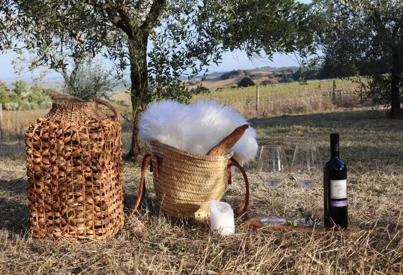 تختخواب و صبحانه Abbadia Wine Relais