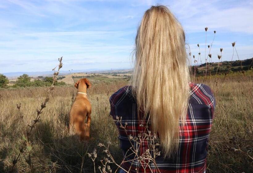 住宿加早餐 Abbadia Wine Relais