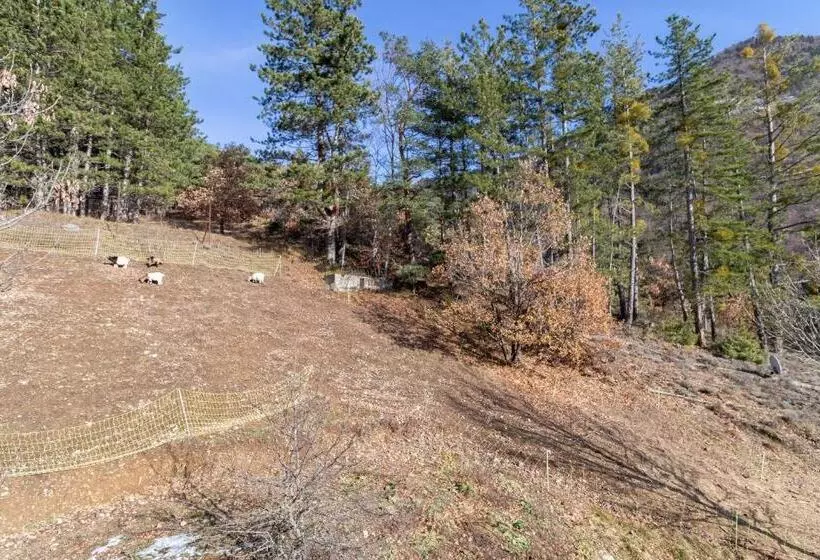 Aamiaismajoitus (B&B) Château Le Beylon   Chambres D Hôtes