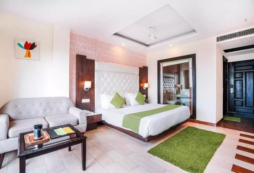 ホテル An Resort Mashobra !! Balcony View Rooms !! Parking !! Open Terrace !! Playing Zone !! Best Selling