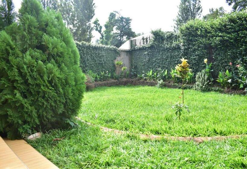 호텔 Kilimanjaro Accommodation