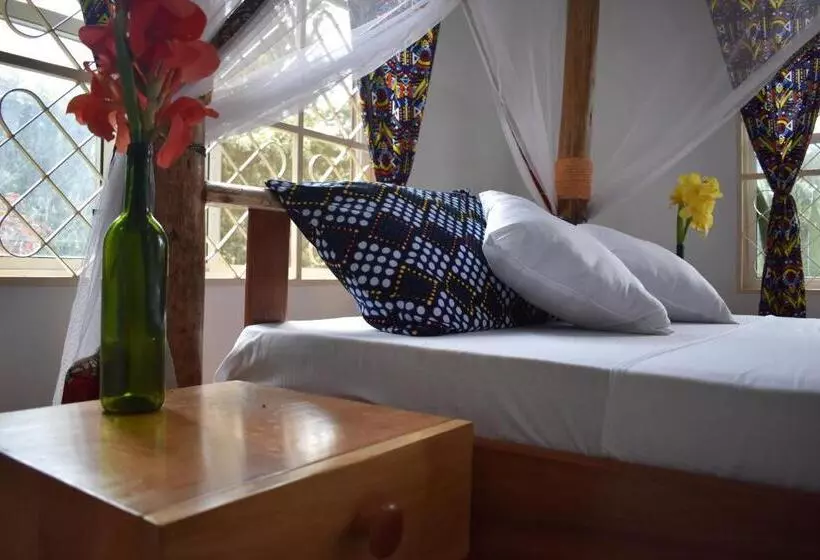 هتل Kilimanjaro Accommodation