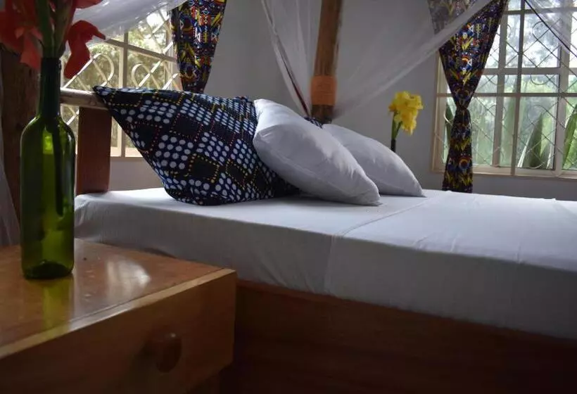 هتل Kilimanjaro Accommodation