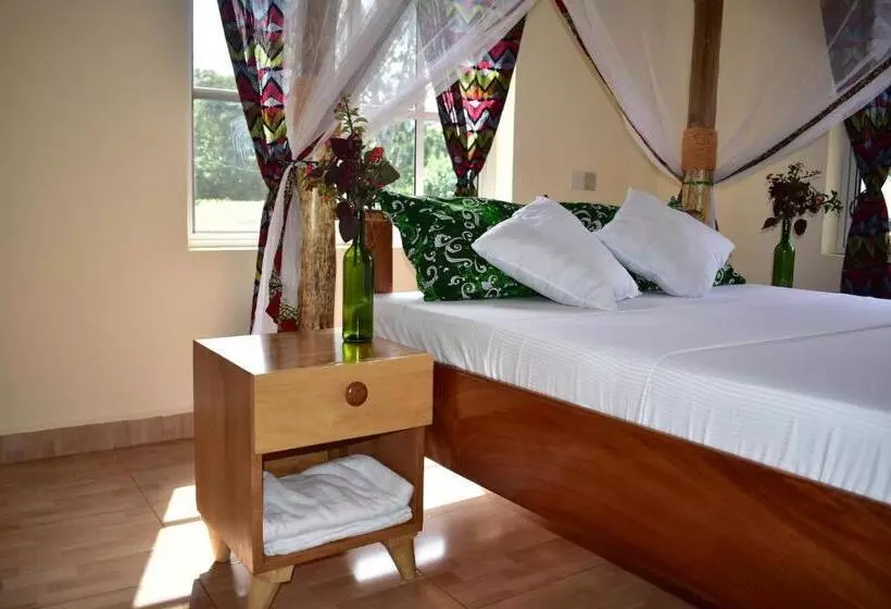 هتل Kilimanjaro Accommodation
