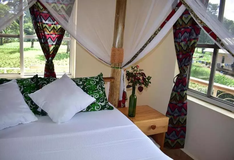 هتل Kilimanjaro Accommodation
