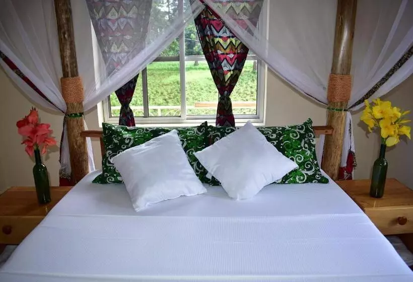 هتل Kilimanjaro Accommodation